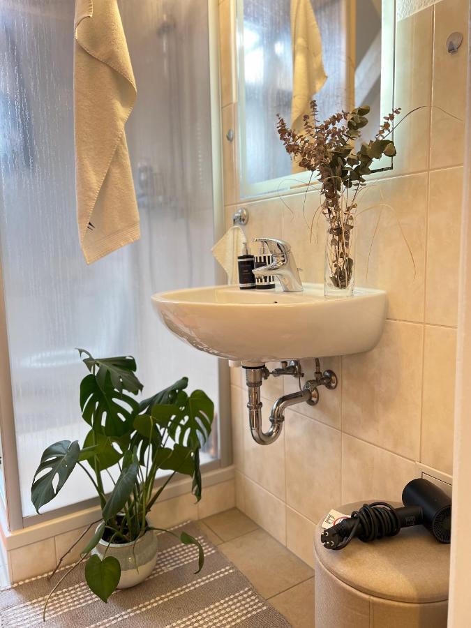 Boutique Appartement Torgau Dış mekan fotoğraf