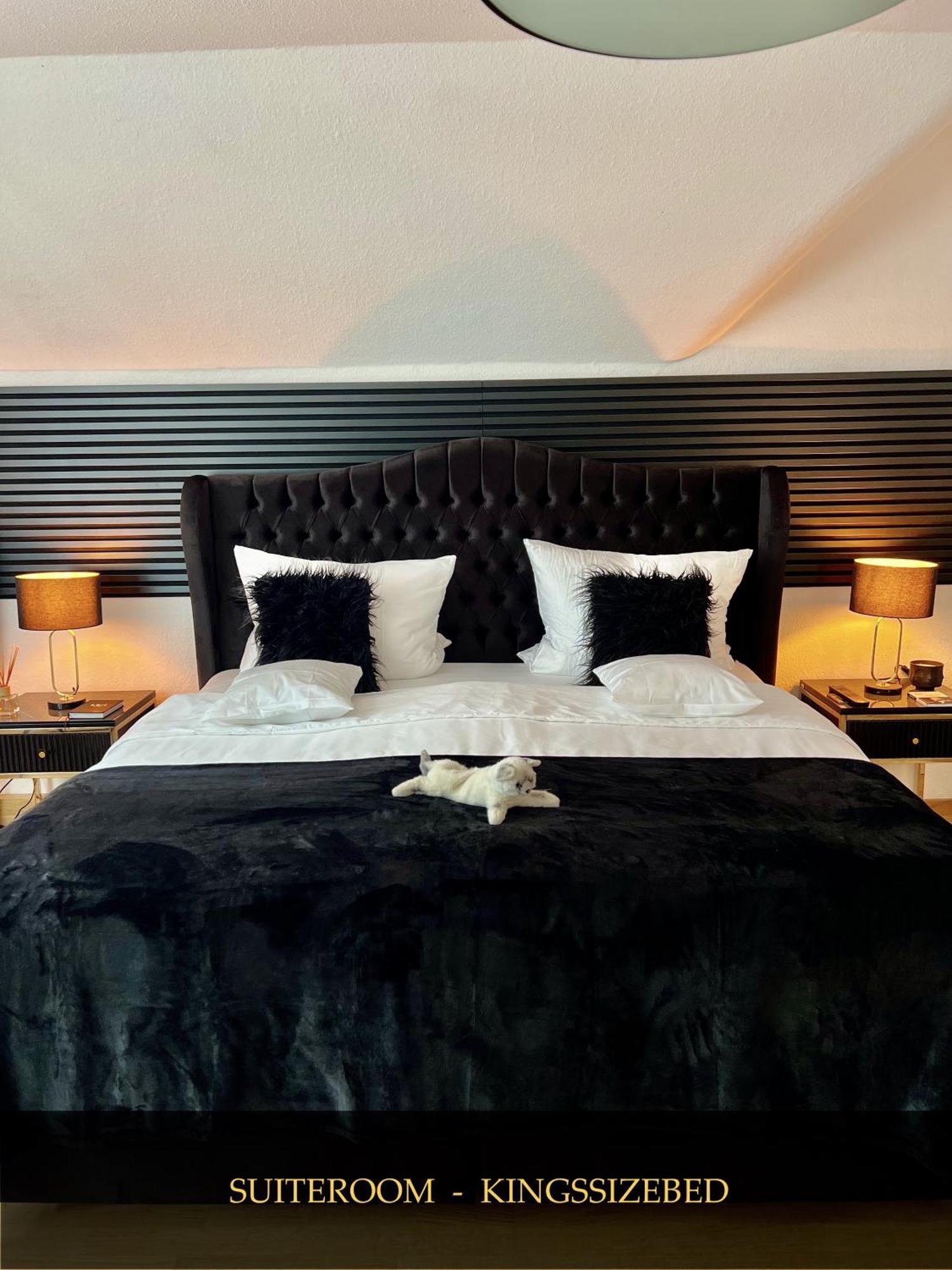 Boutique Appartement Torgau Dış mekan fotoğraf